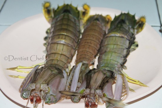 mantis shrimp mantis prawn