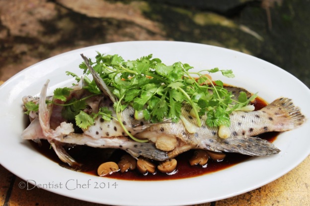 cantonese style steamed mouse grouper humpback fish soy sauce garlic ginger cilantro