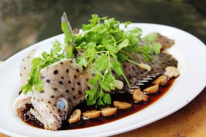 chinese style steamed mouse grouper humpback cod fish resep ikan kerapu bebek kukus tim ala hongkong