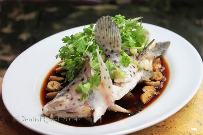 steamed mouse grouper fish chinese style steamed fish grouper humpback soy sauce ginger garlic steam live fish